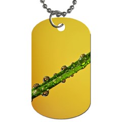 Drops Dog Tag (One Sided)