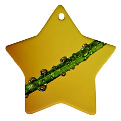 Drops Star Ornament (two Sides)