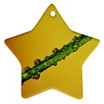 Drops Star Ornament (Two Sides) Front