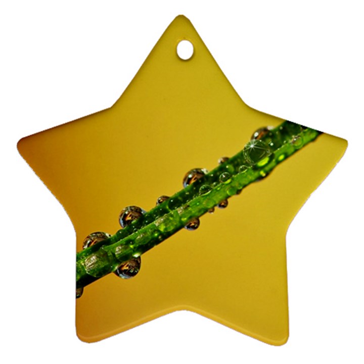 Drops Star Ornament (Two Sides)