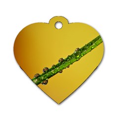 Drops Dog Tag Heart (One Sided) 