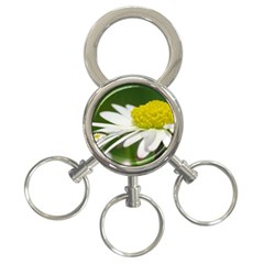 Daisy With Drops 3-ring Key Chain by Siebenhuehner