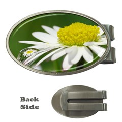 Daisy With Drops Money Clip (oval) by Siebenhuehner