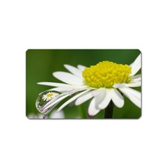 Daisy With Drops Magnet (name Card) by Siebenhuehner