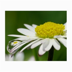 Daisy With Drops Glasses Cloth (small, Two Sided) by Siebenhuehner