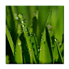 Grass Drops Ceramic Tile by Siebenhuehner