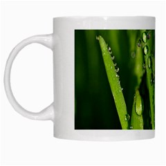 Grass Drops White Coffee Mug by Siebenhuehner