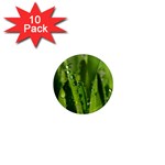 Grass Drops 1  Mini Button Magnet (10 pack) Front