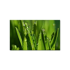 Grass Drops Sticker (rectangle) by Siebenhuehner