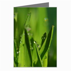 Grass Drops Greeting Card by Siebenhuehner