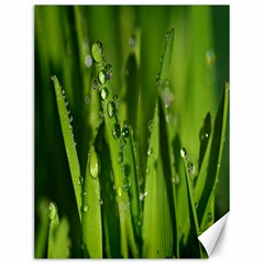 Grass Drops Canvas 12  X 16  (unframed)