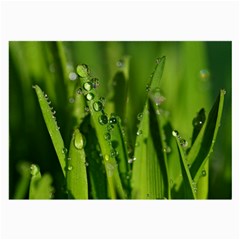 Grass Drops Glasses Cloth (large) by Siebenhuehner