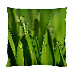 Grass Drops Cushion Case (two Sided)  by Siebenhuehner