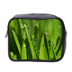 Grass Drops Mini Travel Toiletry Bag (two Sides) by Siebenhuehner