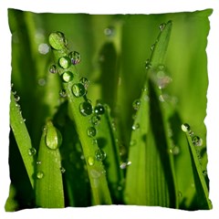 Grass Drops Large Cushion Case (single Sided)  by Siebenhuehner