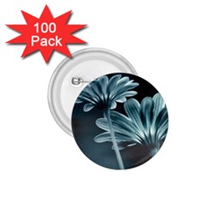 Osterspermum 1 75  Button (100 Pack)