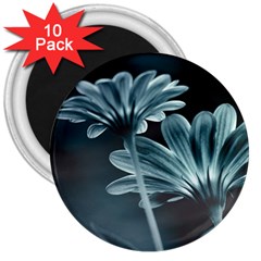 Osterspermum 3  Button Magnet (10 Pack) by Siebenhuehner