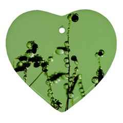 Mint Drops  Heart Ornament by Siebenhuehner