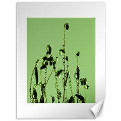 Mint Drops  Canvas 36  X 48  (unframed) by Siebenhuehner