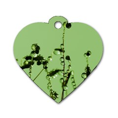 Mint Drops  Dog Tag Heart (two Sided) by Siebenhuehner