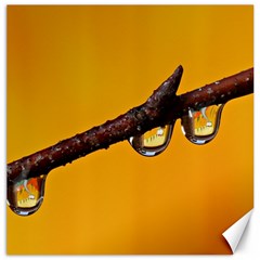 Tree Drops  Canvas 12  X 12  (unframed) by Siebenhuehner