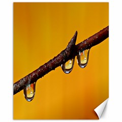 Tree Drops  Canvas 11  X 14  (unframed) by Siebenhuehner