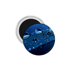 Drops 1 75  Button Magnet by Siebenhuehner