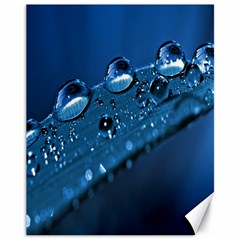 Drops Canvas 11  X 14  (unframed) by Siebenhuehner