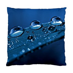 Drops Cushion Case (two Sided)  by Siebenhuehner