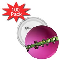 Drops 1 75  Button (100 Pack) by Siebenhuehner