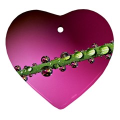 Drops Heart Ornament (two Sides) by Siebenhuehner