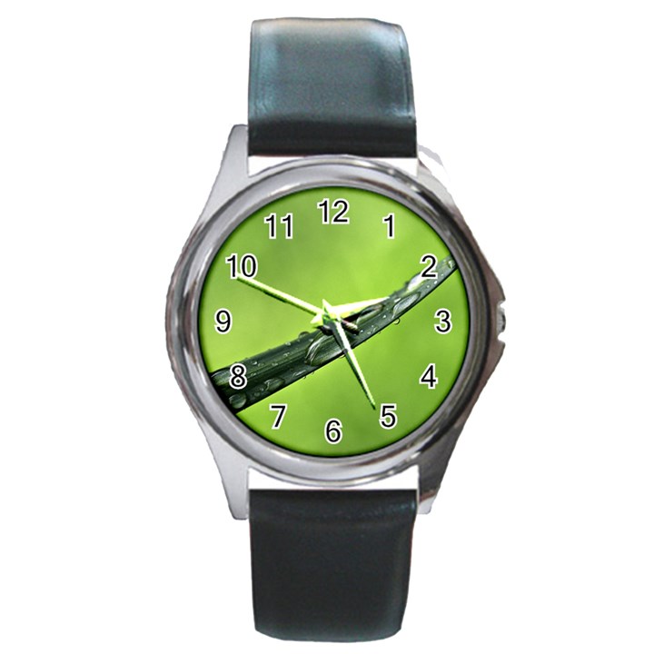 Green Drops Round Leather Watch (Silver Rim)