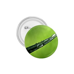 Green Drops 1 75  Button by Siebenhuehner