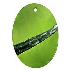 Green Drops Oval Ornament