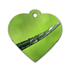 Green Drops Dog Tag Heart (two Sided) by Siebenhuehner