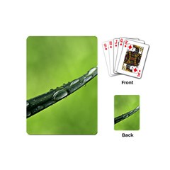 Green Drops Playing Cards (mini) by Siebenhuehner