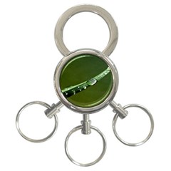 Grass Drops 3-ring Key Chain by Siebenhuehner