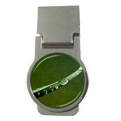 Grass Drops Money Clip (round) by Siebenhuehner