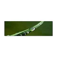 Grass Drops Bumper Sticker by Siebenhuehner
