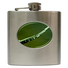 Grass Drops Hip Flask by Siebenhuehner