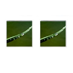 Grass Drops Cufflinks (square) by Siebenhuehner