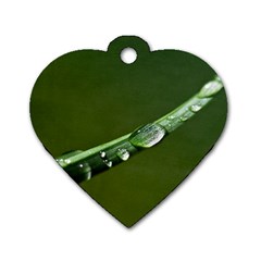 Grass Drops Dog Tag Heart (two Sided) by Siebenhuehner