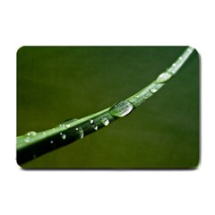 Grass Drops Small Door Mat by Siebenhuehner