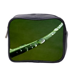 Grass Drops Mini Travel Toiletry Bag (two Sides)