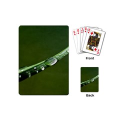 Grass Drops Playing Cards (mini) by Siebenhuehner