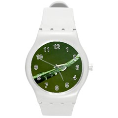 Grass Drops Plastic Sport Watch (medium) by Siebenhuehner