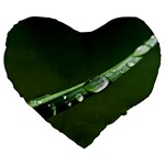 Grass Drops 19  Premium Heart Shape Cushion Front