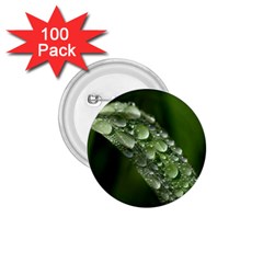 Grass Drops 1 75  Button (100 Pack) by Siebenhuehner