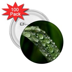 Grass Drops 2 25  Button (100 Pack) by Siebenhuehner