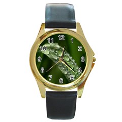 Grass Drops Round Leather Watch (gold Rim)  by Siebenhuehner